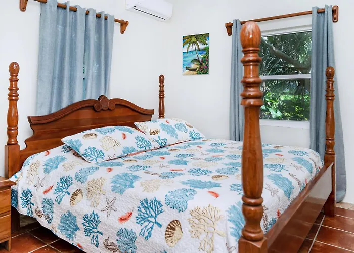 6br Beachfront Pool, Dock & Rooftop Villa San Pedro (Ambergris Caye)