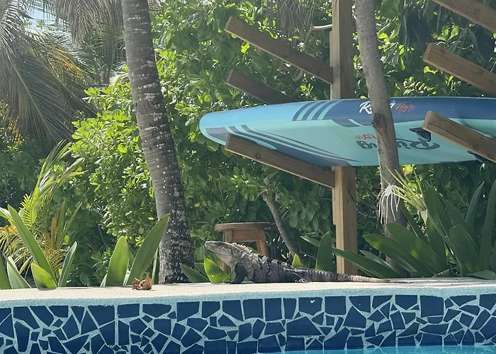 Villa 6br Beachfront Pool, Dock & Rooftop San Pedro (Ambergris Caye)